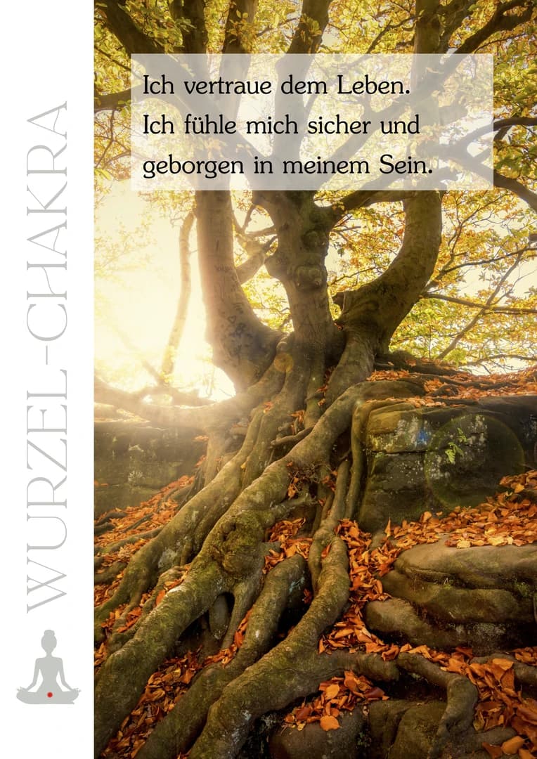 Bild ohne Beschriftung